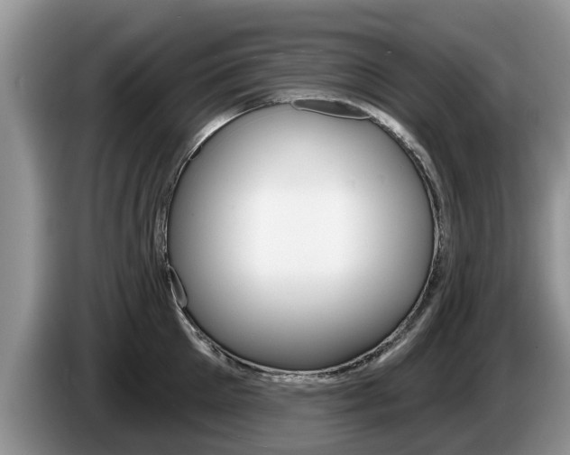 X0000087570905200704270941