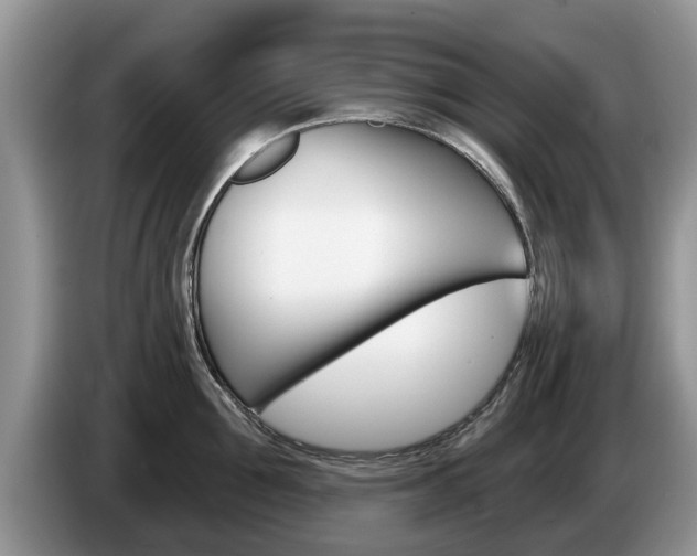 X0000087570907200704270941