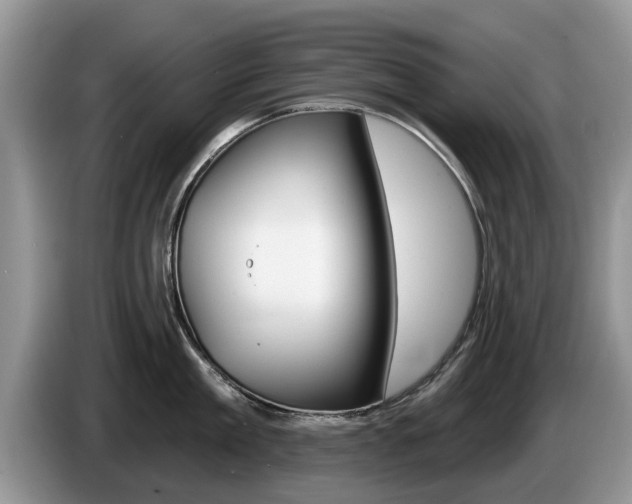 X0000087570909200704270941