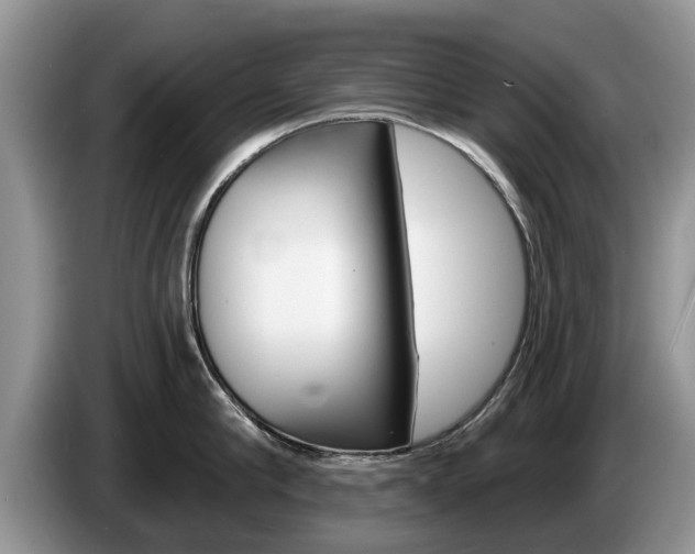 X0000087570910200704270941