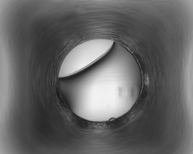 X0000087570915200704270941