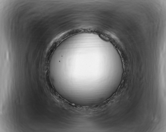 X0000087570920200704270941