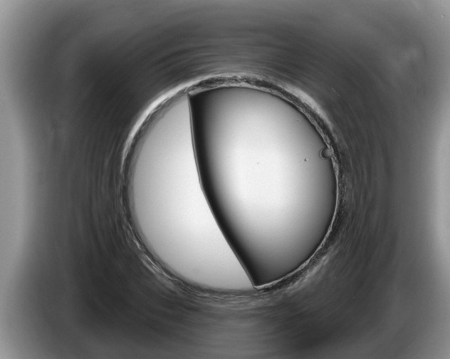 X0000087570927200704270941