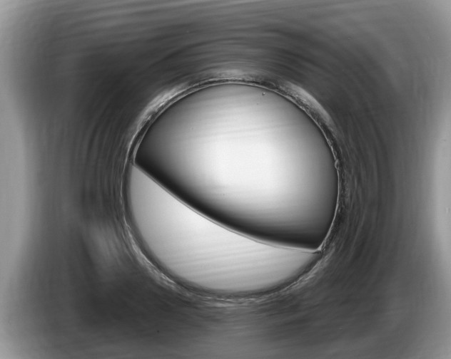 X0000087570938200704270941