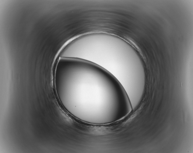 X0000087570940200704270941