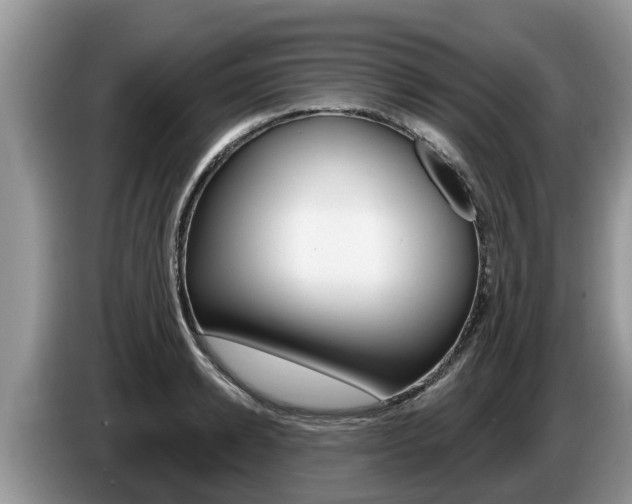 X0000087570942200704270941