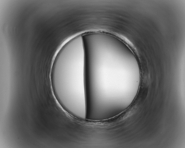 X0000087570943200704270941