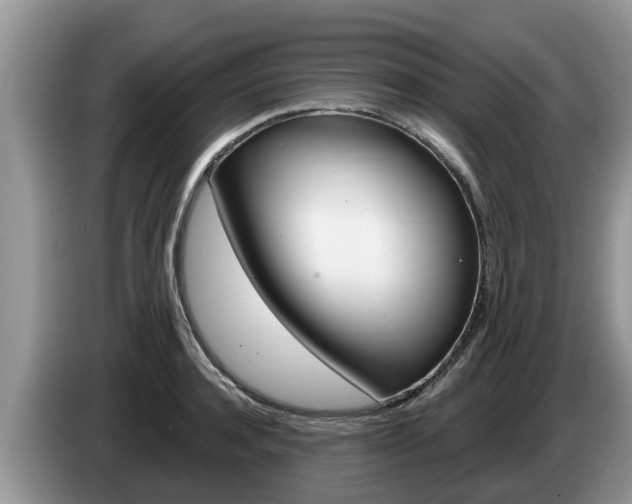 X0000087570944200704270941