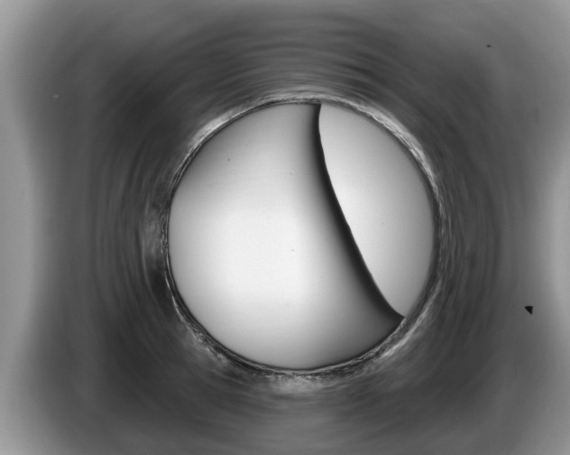 X0000087570945200704270941