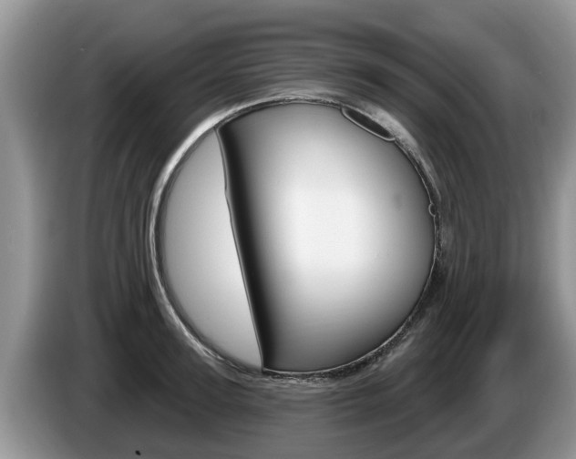 X0000087570947200704270941