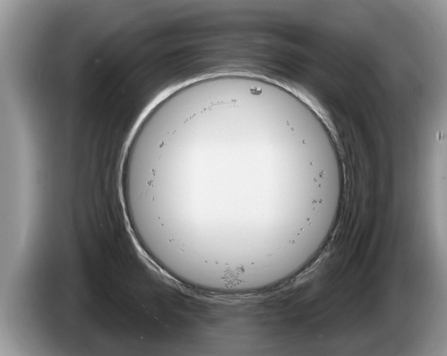 X0000087570950200704270941