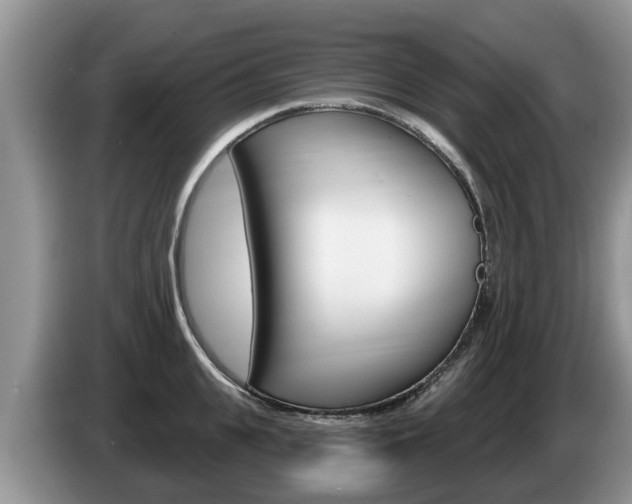 X0000087570951200704270941
