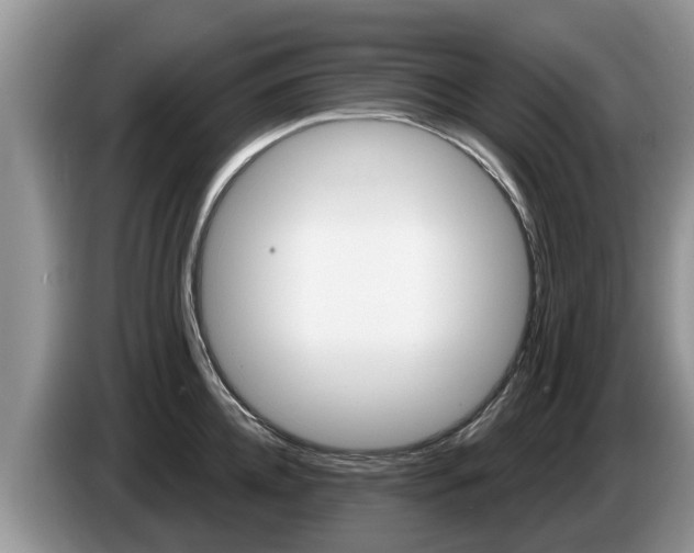 X0000087570952200704270941