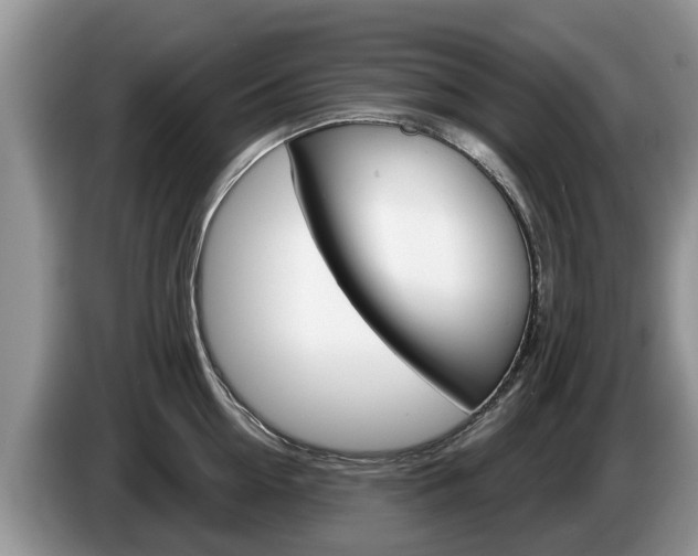 X0000087570954200704270941