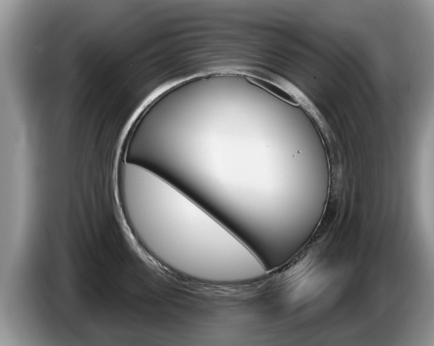 X0000087570955200704270941