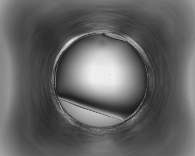 X0000087570956200704270941