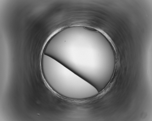 X0000087570957200704270941