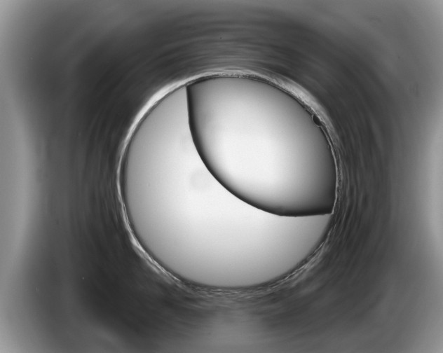 X0000087570958200704270941