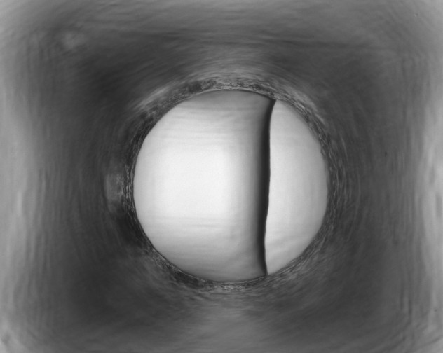 X0000087570966200704270941