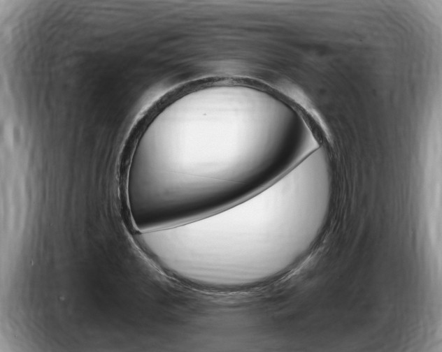 X0000087570972200704270940