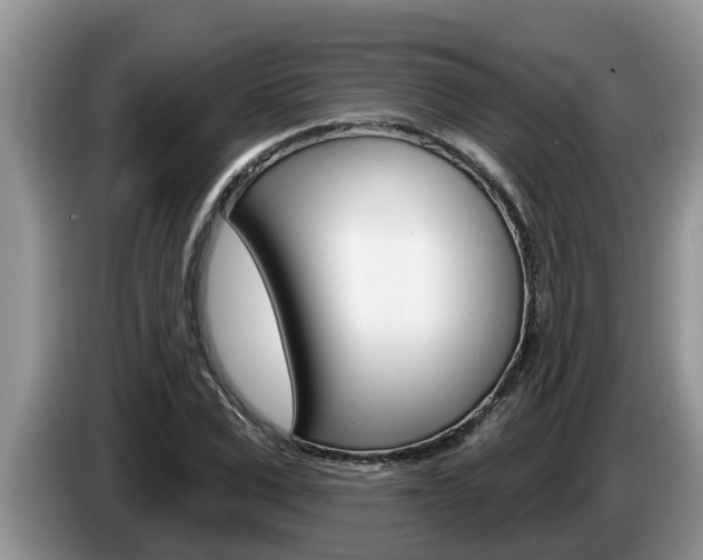X0000087570975200704270940