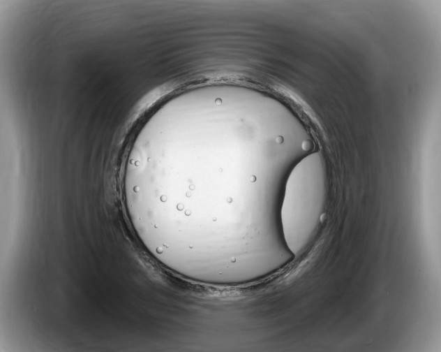 X0000087570978200704270940