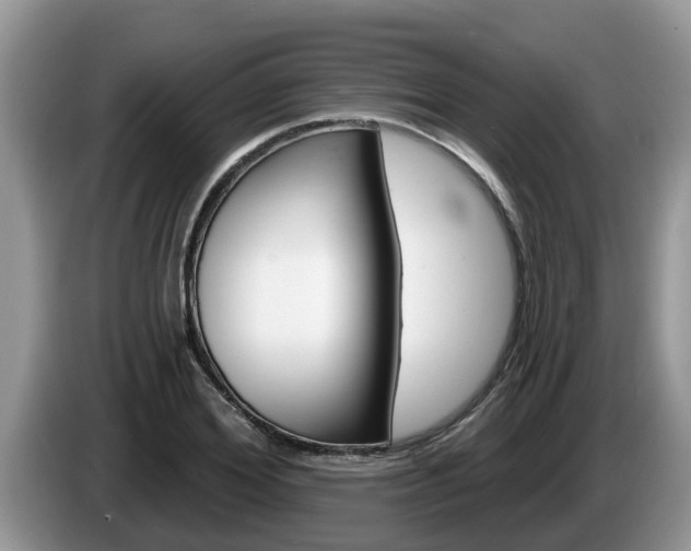 X0000087570980200704270940
