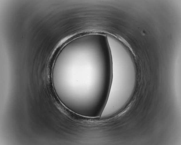 X0000087570981200704270940