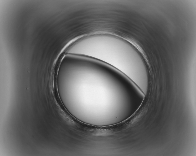 X0000087570984200704270940