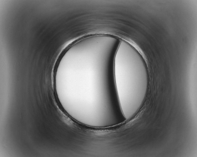 X0000087570988200704270940