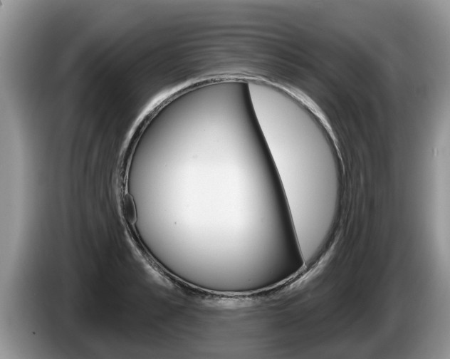 X0000087570989200704270940