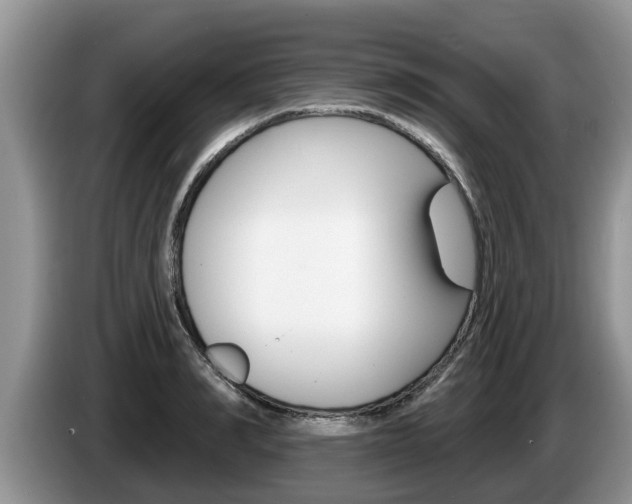 X0000087570990200704270940