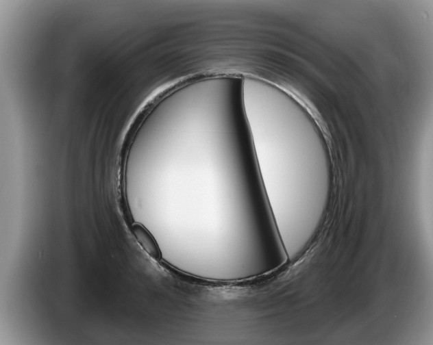 X0000087570992200704270940