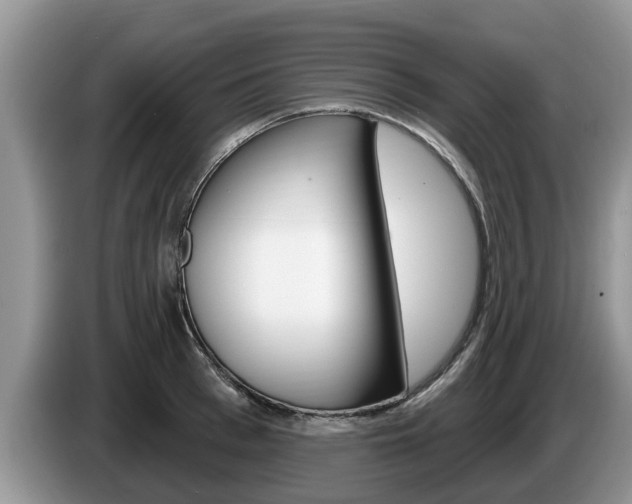 X0000087570993200704270940