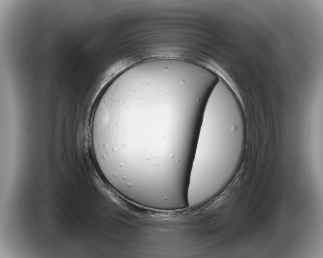 X0000087570994200704270940