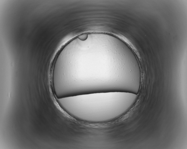 X0000087570998200704270940