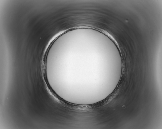 X0000087571003200704270940