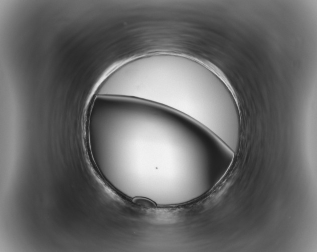 X0000087571005200704270940