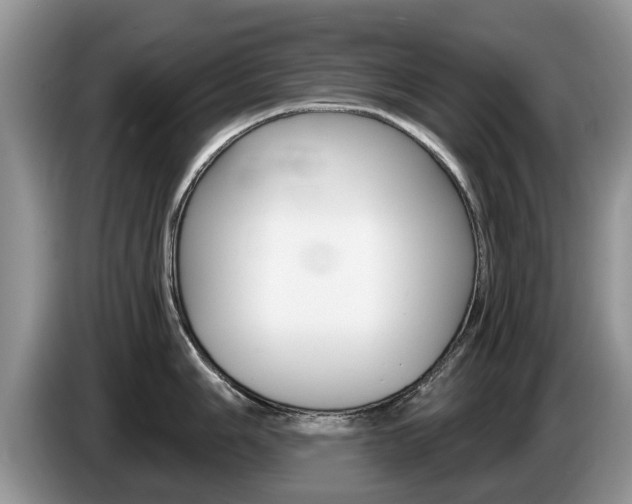 X0000087571006200704270940