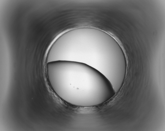 X0000087571008200704270940