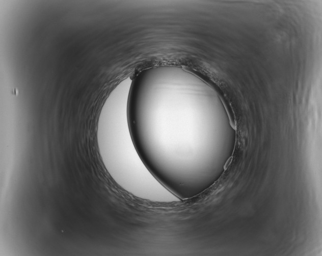 X0000087571010200704270940