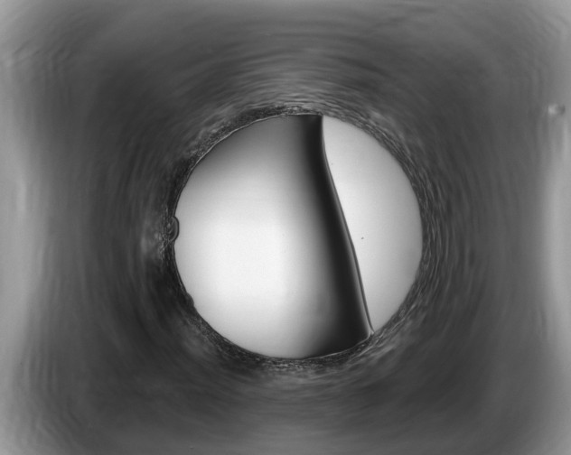 X0000087571012200704270940