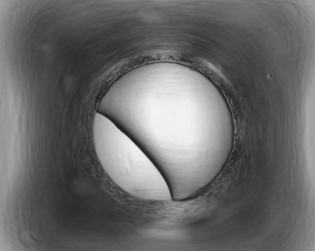 X0000087571015200704270940