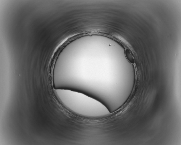X0000087571023200704270940