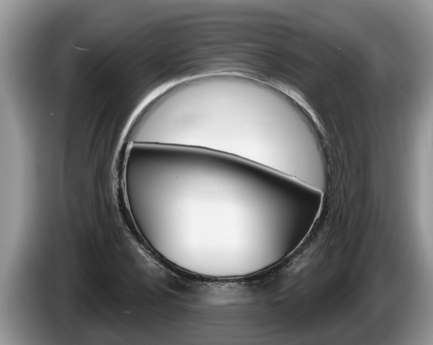 X0000087571024200704270940