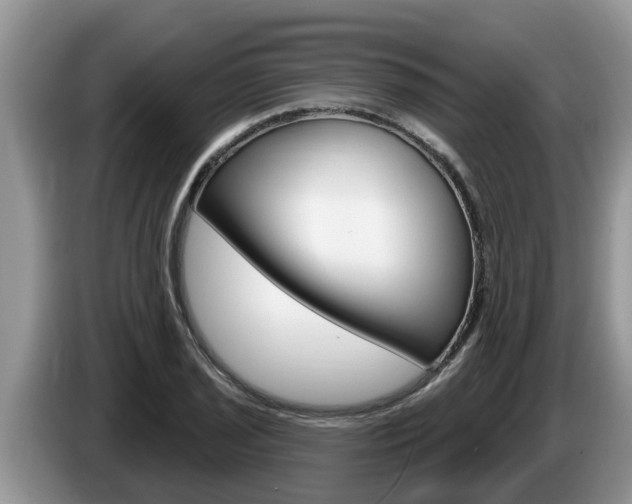 X0000087571029200704270940
