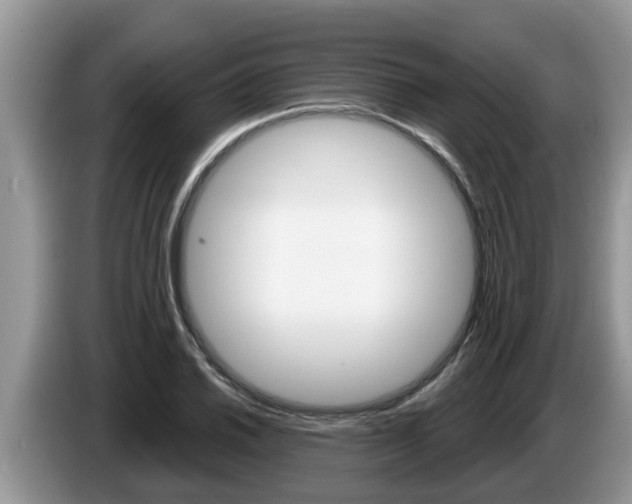 X0000087571030200704270940