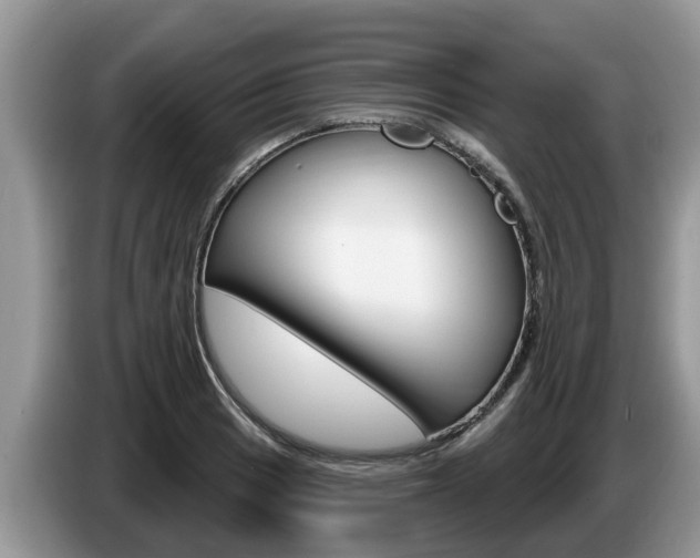 X0000087571033200704270940