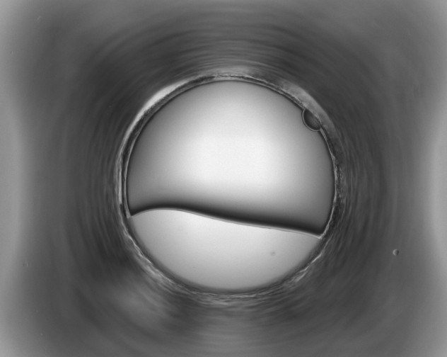 X0000087571036200704270940