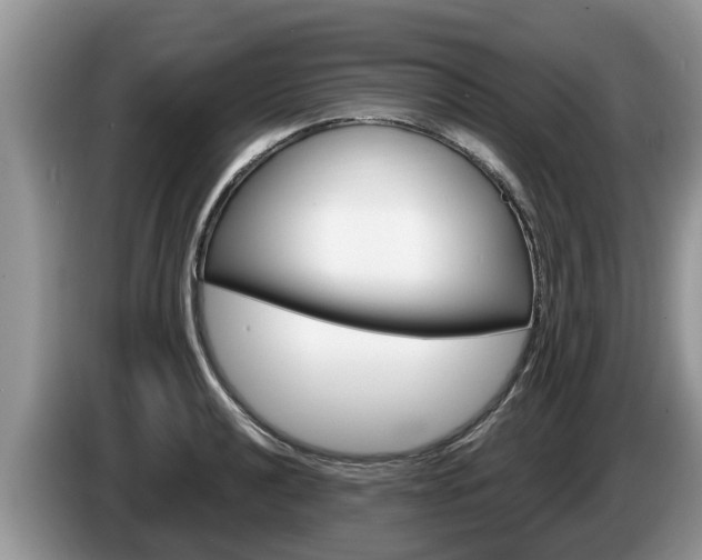 X0000087571040200704270940